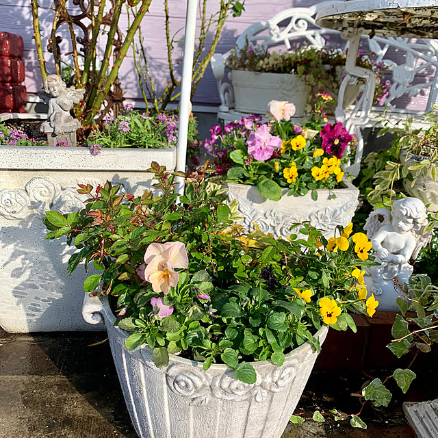 AYUKOさんの実例写真