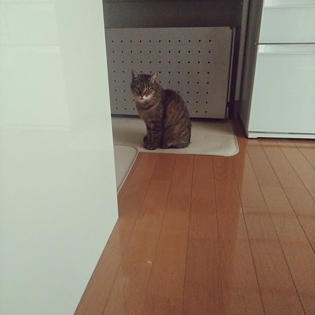 lilyさんの実例写真