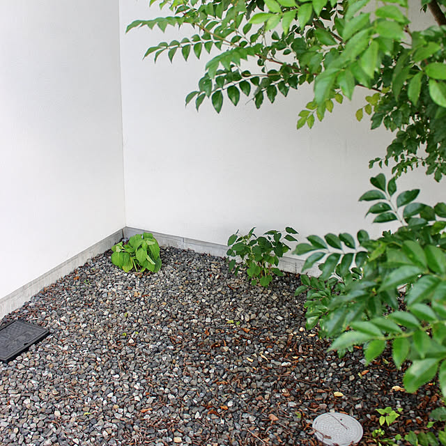 Kaneyukiさんの部屋