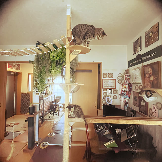 Mさんの部屋