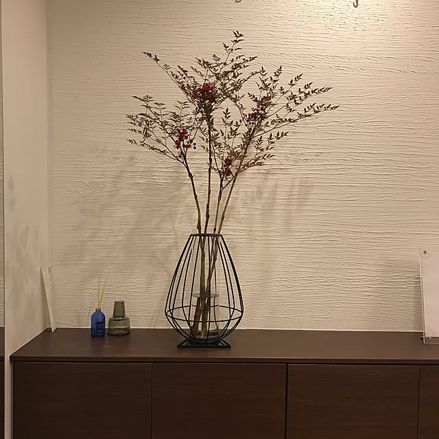 玄関/入り口のインテリア実例 - 2017-02-12 23:26:47