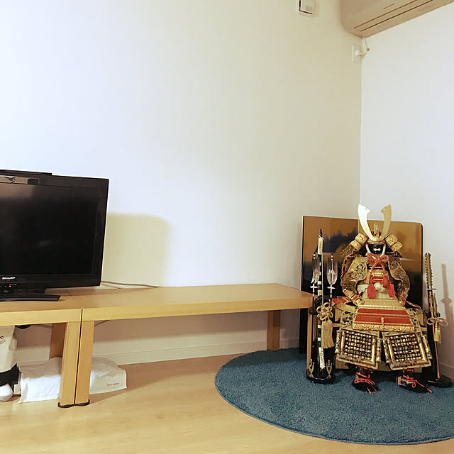 frogさんの実例写真
