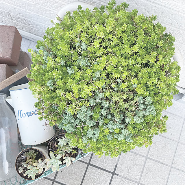 yokoさんの実例写真