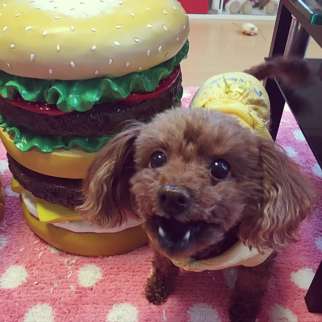 Hecacoさんの実例写真