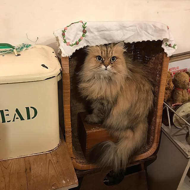 teddyさんの実例写真