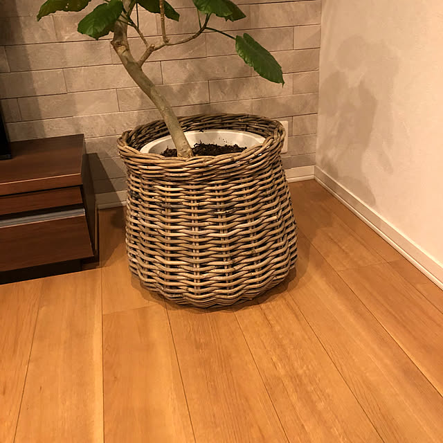 misakiさんの実例写真