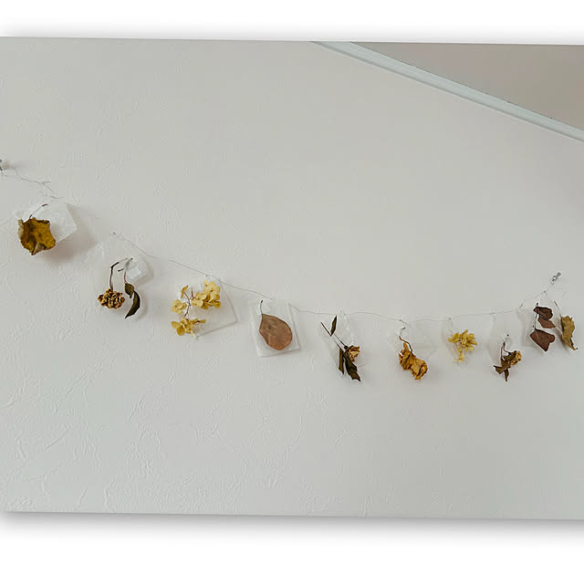 usagiさんの部屋