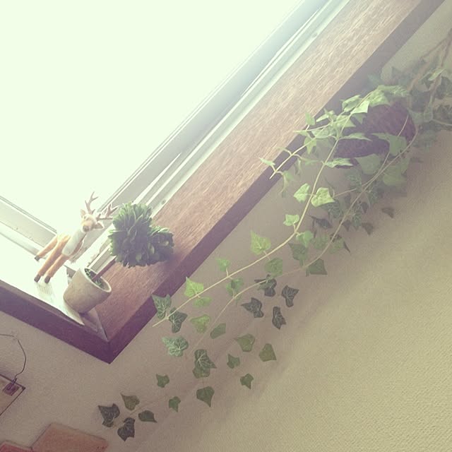 mi-coさんの実例写真