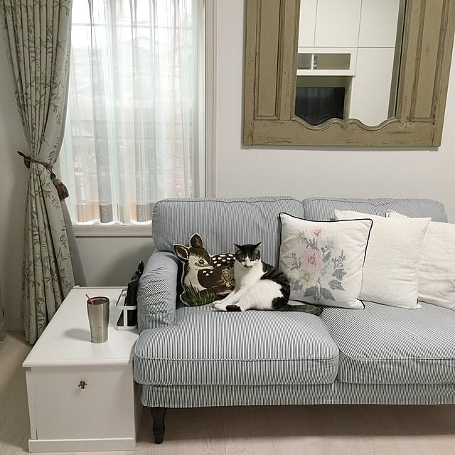 yuchiさんの実例写真