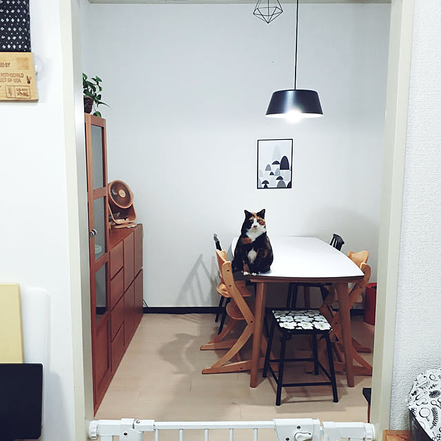 fumiyo.01さんの実例写真