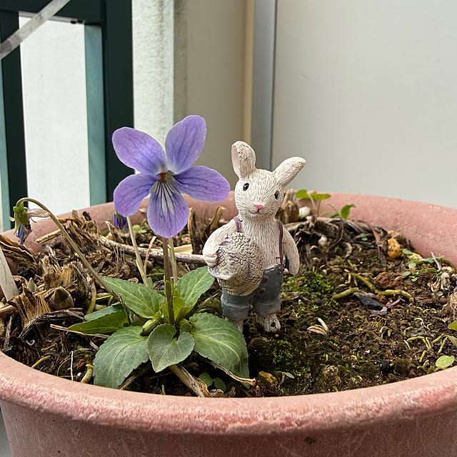 Aqettyさんの実例写真