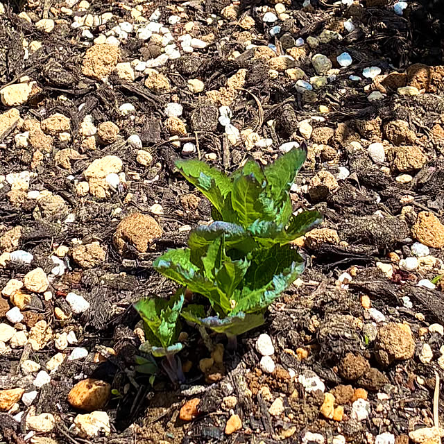 Fleur_さんの部屋