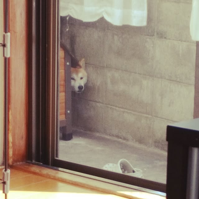 fruityanさんの実例写真