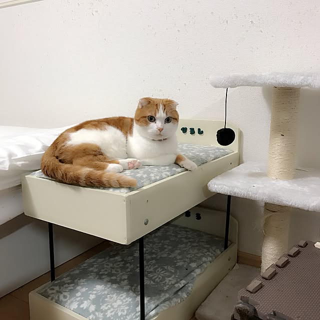 chiroさんの実例写真