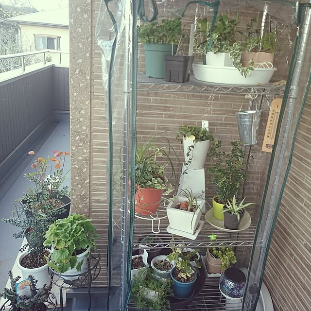 yukixx328さんの実例写真
