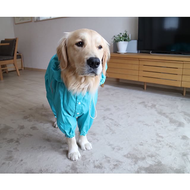 chulaさんの実例写真