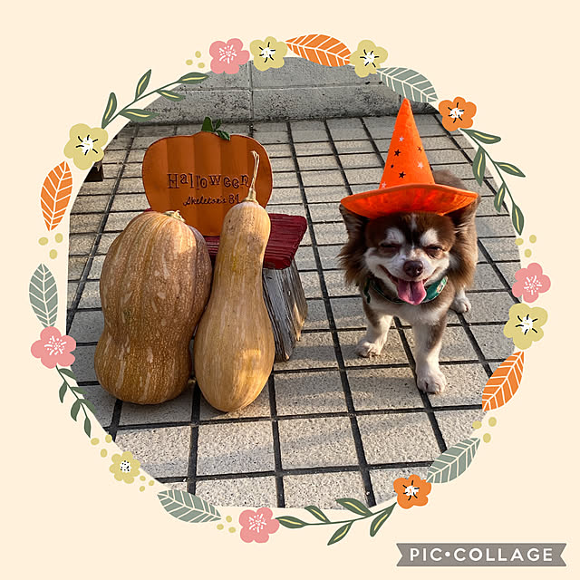 chIoeさんの実例写真