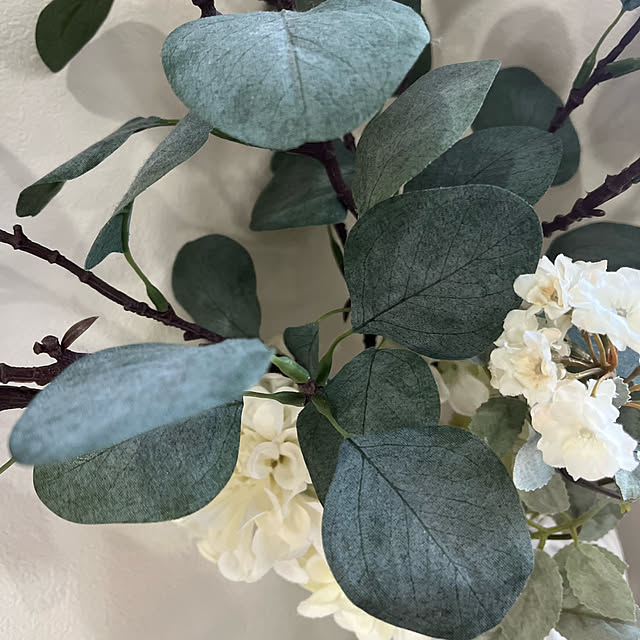 rikuerinka86さんの部屋