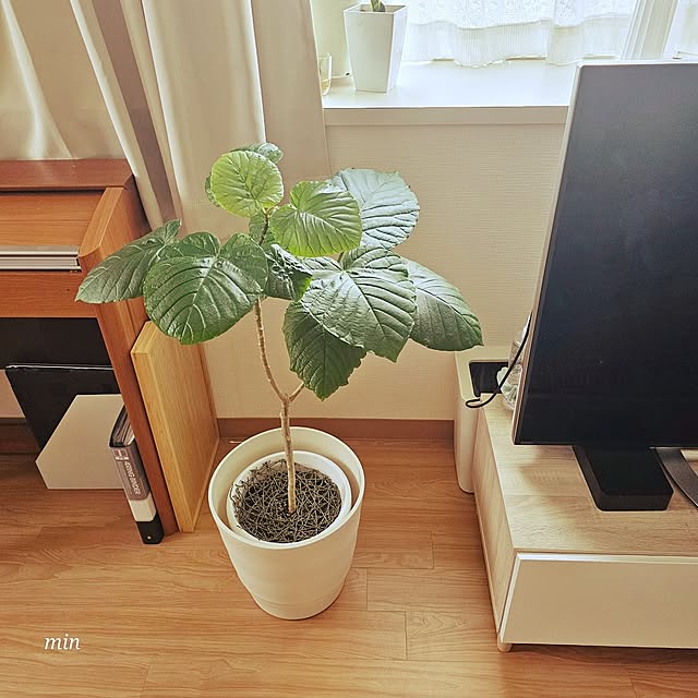 Miri.さんの部屋