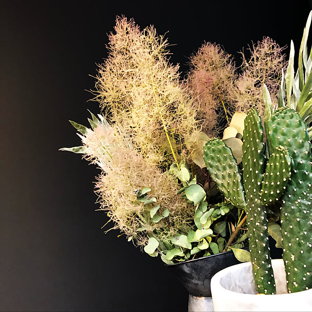 キッチンカウンターの上/キッチンカウンター/観葉植物/ドライフラワー/ドライフラワーのある暮らし...などのインテリア実例 - 2019-06-09 21:41:01