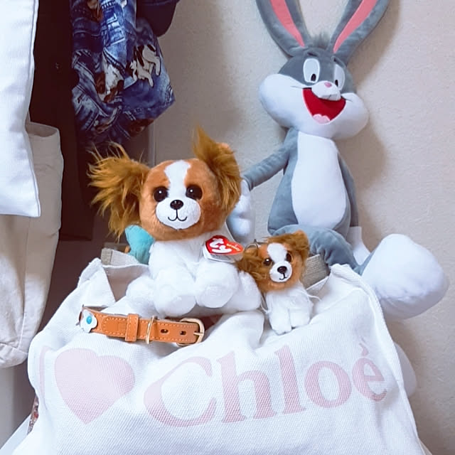 chiiiさんの実例写真