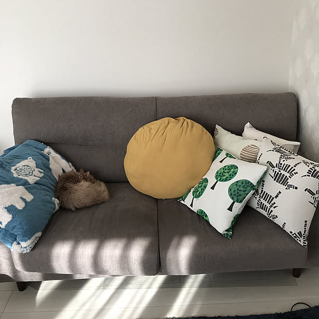 mofucatさんの実例写真