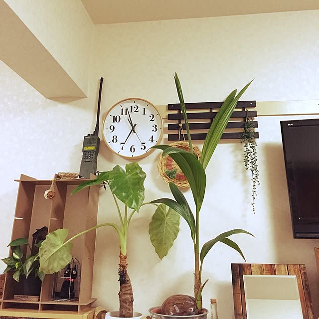 emiさんの実例写真