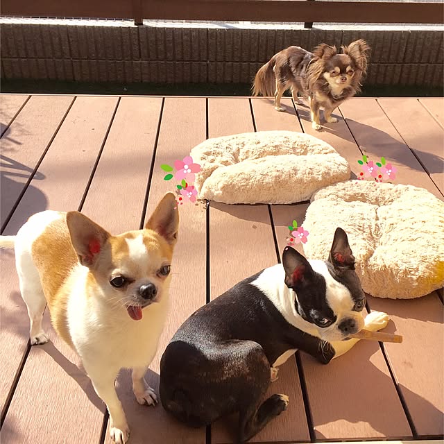 yumiさんの実例写真