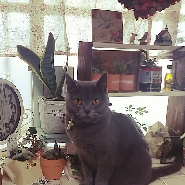 tymm0717さんの実例写真