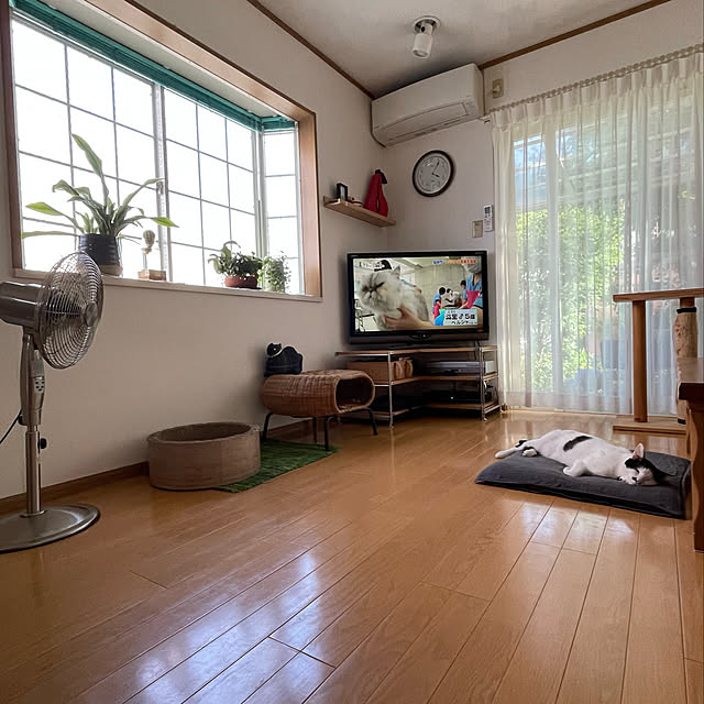 nobikoさんの実例写真
