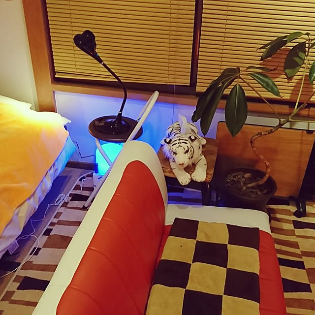 hariou_999さんの実例写真