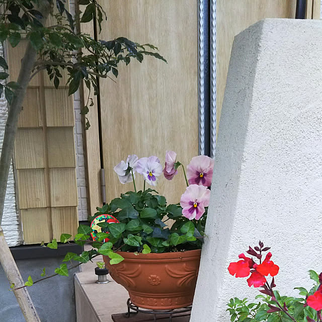 ym3さんの実例写真