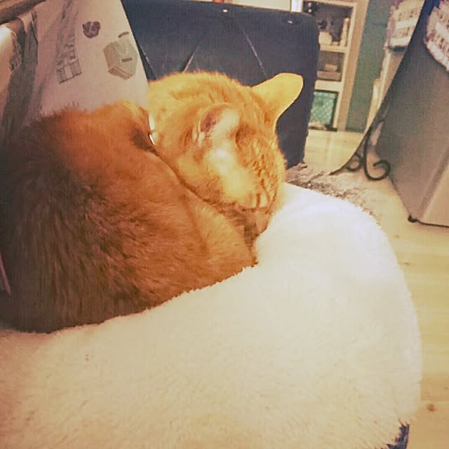 makkiiさんの実例写真