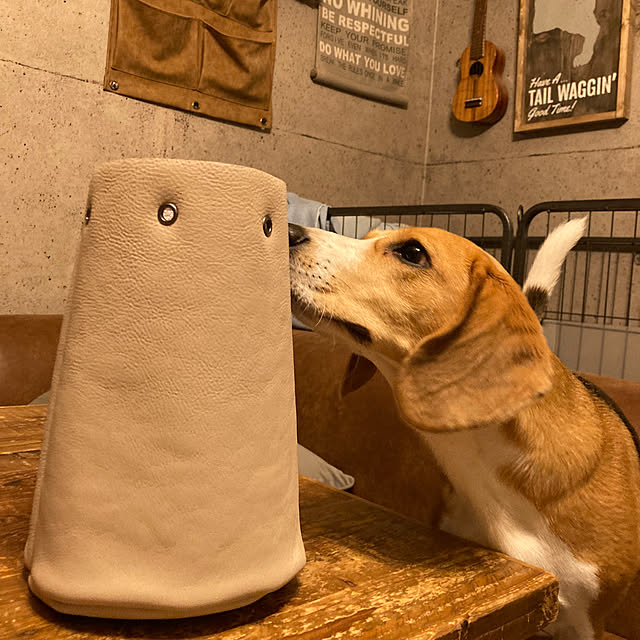 onokenkoさんの実例写真