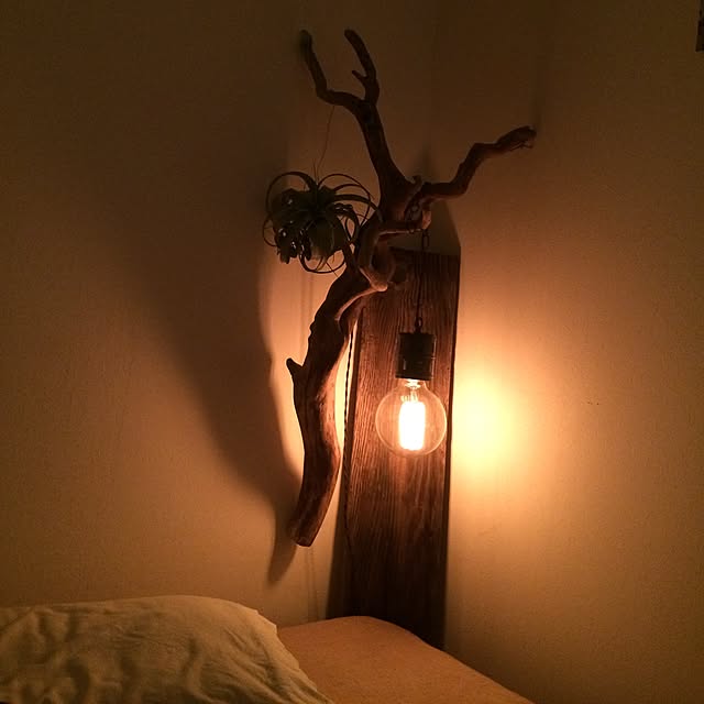 booさんの実例写真