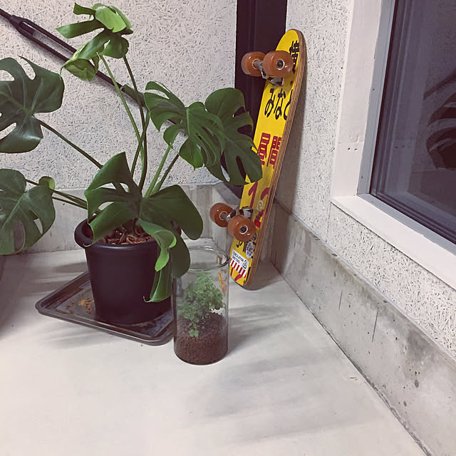 zonoさんの実例写真