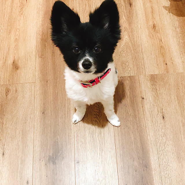 marsanさんの実例写真