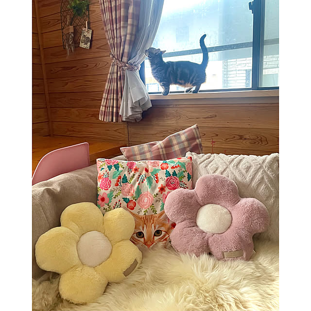 yumiさんの実例写真