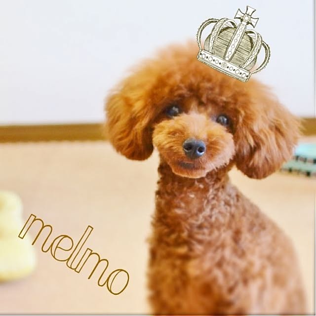 hiramariさんの実例写真