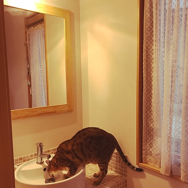risaneko0126さんの実例写真
