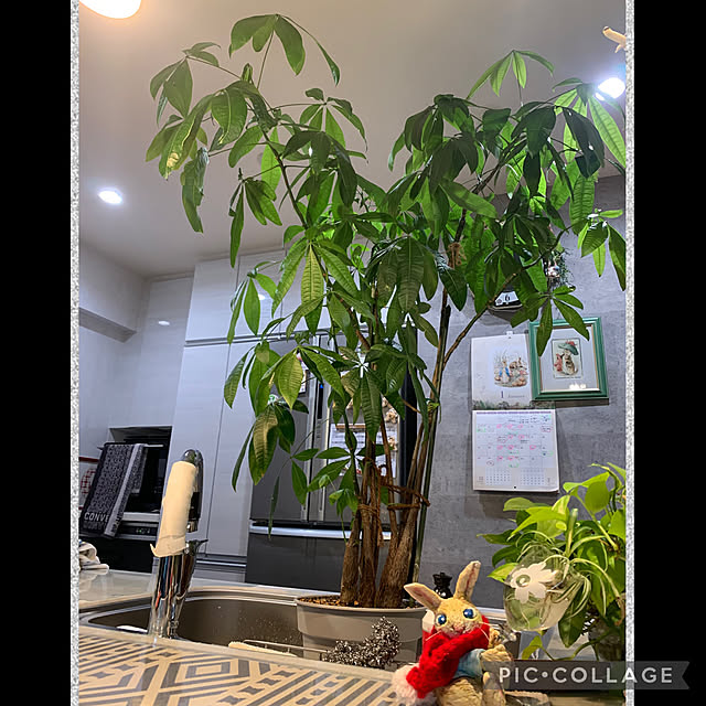 Aqettyさんの実例写真