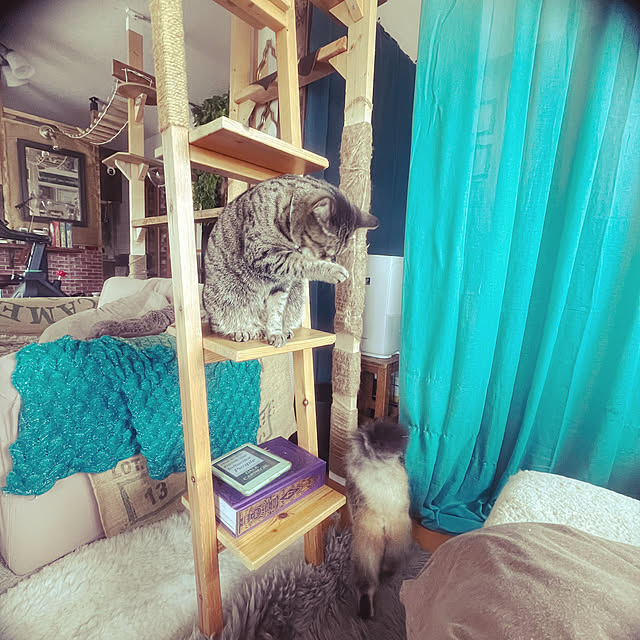 Mさんの実例写真