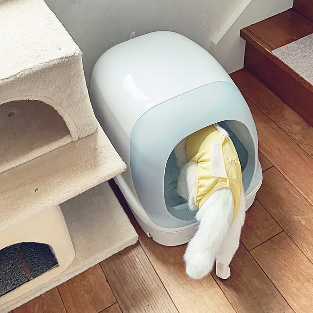 arisaさんの実例写真