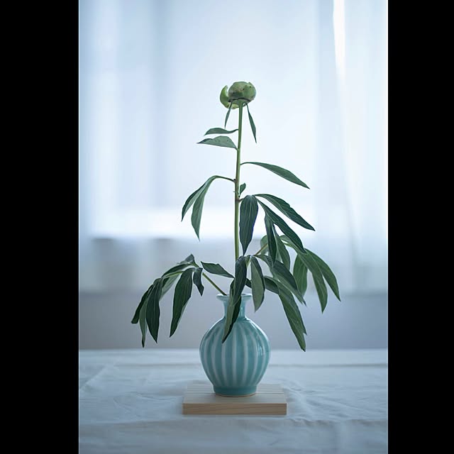saccoさんの実例写真