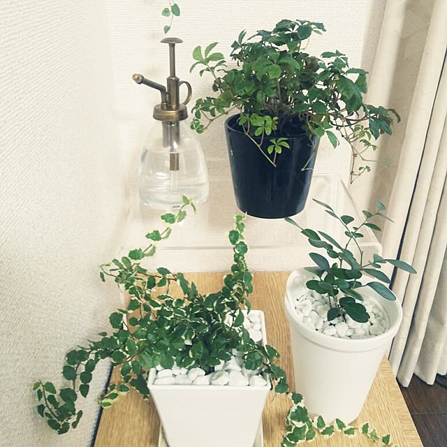 suzkさんの実例写真