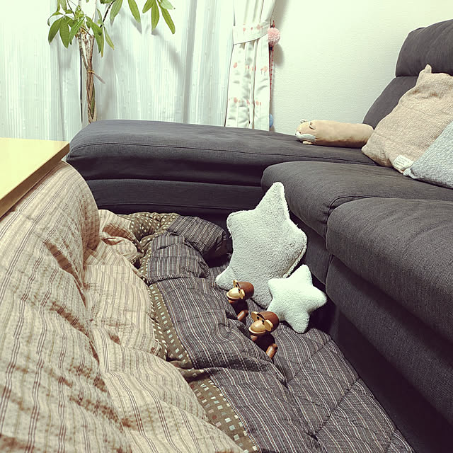 kouさんの実例写真