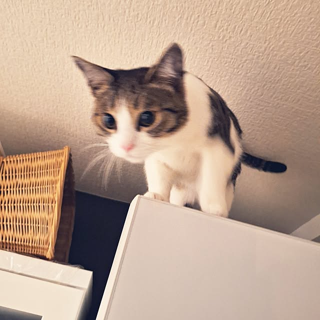 akimameさんの部屋
