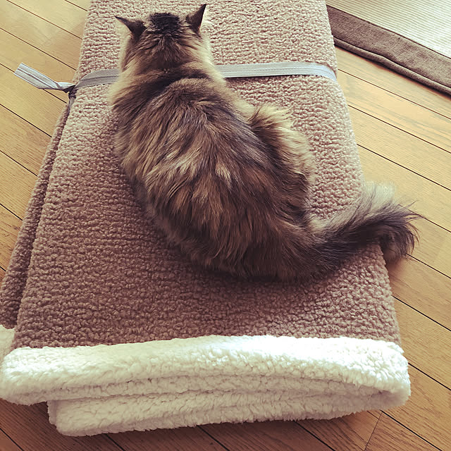 junさんの実例写真