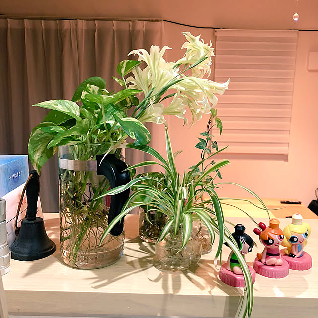 suzu.さんの実例写真