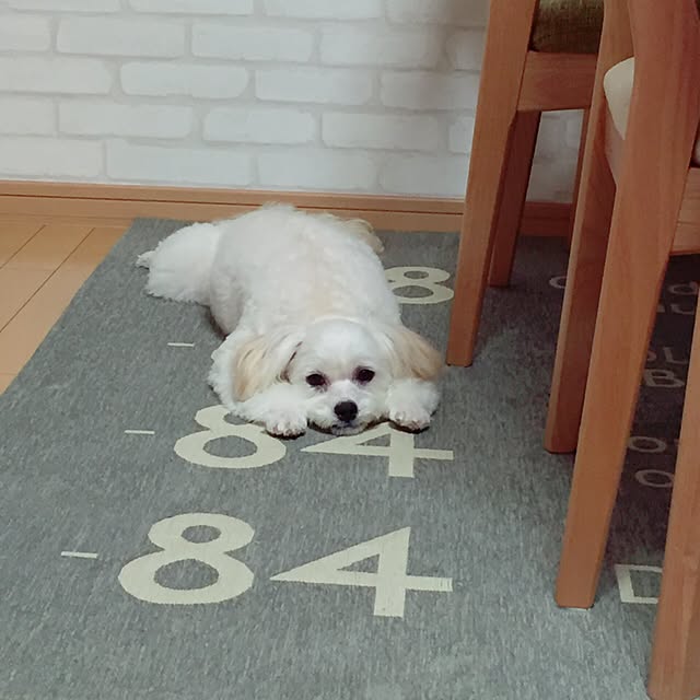 anninさんの実例写真